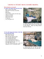 TỔ CHỨC TRUNG TÂM ĐIỀU TRỊ BỎNG ppsx