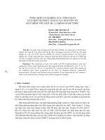 Báo cáo khoa học: 