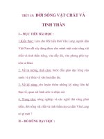 Giáo án lịch sử 6_TIẾT 15 pptx