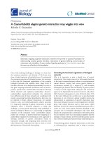 Báo cáo sinh học: 