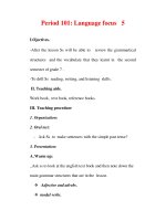 Giáo án Anh văn lớp 7 : Tên bài dạy : Period 101: Language focus 5 pdf