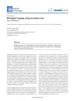 Báo cáo sinh học: 