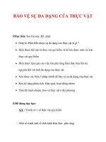 Giáo án Sinh học lớp 6 : Tên bài dạy : BẢO VỆ SỰ ĐA DẠNG CỦA THỰC VẬT docx