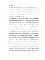 Chú trong hoạt động tích lũy vốn cho kinh doanh dài hạn tại các doanh nghiệp doc