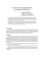 Báo cáo khoa học: 