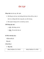 Giáo án Sinh học lớp 6 : Tên bài dạy : ÔN TẬP pps