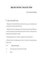 BỆNH MÀNG NGOÀI TIM doc