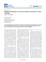 Báo cáo sinh học: 