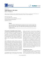 Báo cáo sinh học: 