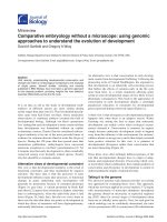 Báo cáo sinh học: 