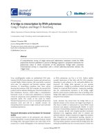 Báo cáo sinh học: 