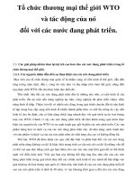 Tổ chức thương mại thế giới WTO và tác động của nó đối với các nước đang phát triển. _6 pdf