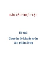 Đề tài: Chuyên đề khuấy trộn sản phẩm lỏng pptx