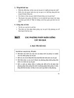 Thiết kế bài giảng công nghệ 9 - Trồng cây ăn quả part 3 pptx