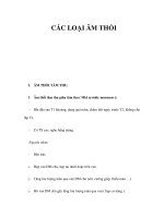 CÁC LOẠI ÂM THỔI pdf