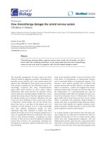 Báo cáo sinh học: 