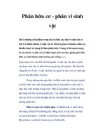 Phân hữu cơ - phân vi sinh vật pps