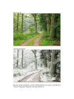 Giáo trình phân tích khả năng sử dụng công cụ brush tip set theo tweened animation p5 docx