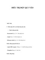 ĐIỀU TRỊ ĐỘT QỤY NÃO pdf