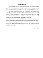 vận dụng mô hình tpb để giải thích hành vi tiêu dùng các mặt hàng điện tử, điện máy của người tiêu dùng tại thị trường nha trang