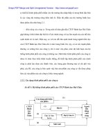 Phân phối ngành hàng thực phẩm và sự canhj tranh của các thương hiệu mạnh - 2 pot