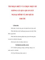 Giáo án Công nghệ lớp 7 : Tên bài dạy : TH NHẬN BIẾT VÀ CHỌN MỘT SỐ GIỐNG GÀ QUA QUAN SÁT NGOẠI HÌNH VÀ ĐO KÍCH THƯỚC pptx