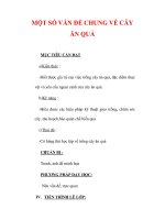 Giáo án Công nghệ lớp 9 : Tên bài dạy : MỘT SỐ VẤN ĐỀ CHUNG VỀ CÂY ĂN QUẢ ppt