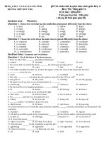 Đề Thi chọn đội tuyển học sinh giỏi lớp 12 Môn Thi: Tiếng anh 12 Năm học : 2010-2011 pdf