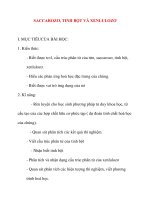 Giáo án Hóa Học lớp 12: SACCAROZƠ, TINH BỘT VÀ XENLULOZƠ potx