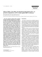 Báo cáo khoa học: 