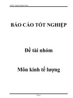 Đề tài nhóm môn kinh tế lượng ppsx