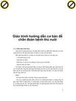 Giáo trình hướng dẫn cơ bản để chẩn đoán bệnh thú nuôi phần 1 pptx