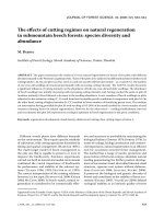 Báo cáo lâm nghiệp: 