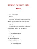 Giáo án Công nghệ lớp lớp 9 : Tên bài dạy :KỸ THUẬT TRỒNG CÂY CHÔM CHÔM docx