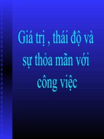 Giá trị, thái độ và sự thỏa mản với công việc ppt