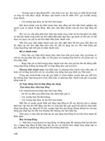 Giáo trình - Luật đầu tư và xây dựng part 10 potx