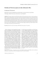 Báo cáo lâm nghiệp: 