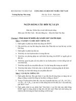 câu hỏi tự luận lý thuyết oto-Nguyễn Viết Chung-k11 DHCN TP HCM-Thiệu Hóa ppt