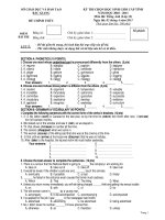 KỲ THI CHỌN HỌC SINH GIỎI CẤP TỈNH NĂM HỌC 2010 - 2011 Môn thi: Tiếng Anh (Lớp 12) ppt