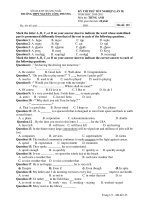 KỲ THI THỬ TỐT NGHIỆP (LẦN II) NĂM HỌC 2010-2011 Môn thi: TIẾNG ANH - Mã đề: 125 pps