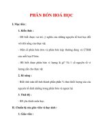 Giáo án Hóa học lớp 9 : Tên bài dạy : PHÂN BÓN HOÁ HỌC docx