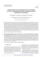 Báo cáo lâm nghiệp: 