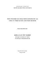 PHÂN TÍCH HIỆU QUẢ HOẠT ĐỘNG KINH DOANH  TẠI CÔNG TY TNHH NGUYÊN ANH TP.HỒ CHÍ MINH