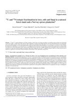 Báo cáo lâm nghiệp: 