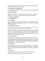 Bài giảng kháng sinh part 4 ppsx