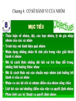 Bài giảng: chương 4 Cơ sở hành vi của nhóm pptx