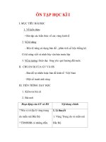 Giáo án Địa lý lớp 9 : Tên bài dạy : ÔN TẬP HỌC KÌ I doc