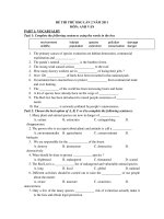 ĐỀ THI THỬ HSG LẦN 2 NĂM 2011 MÔN: ANH VĂN ppt