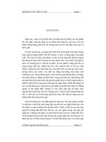 Tiểu luận chất tẩy rửa dạng lỏng