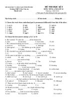 ĐỀ THI KIỂM TRA HỌC KỲ II – NĂM HỌC 2010-2011 MÔN: TIÉNG ANH - Mã đề thi 610 ppsx